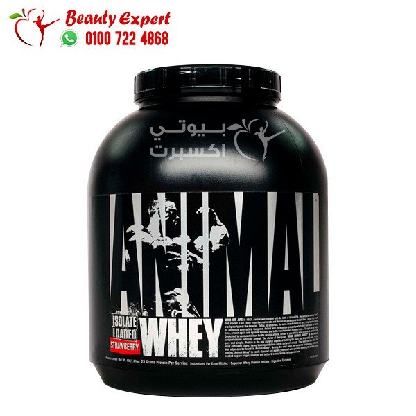 انيمال واي بروتين ايزوليت لودد بالفراولة Animal Whey Isolate Loaded لتقوية العضلات 1.81 كجم image 0