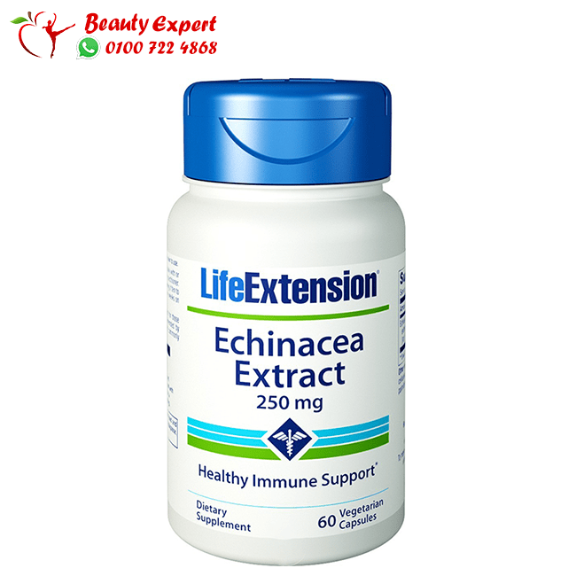 echinacea extract 250mg 60 cap natrol image 0