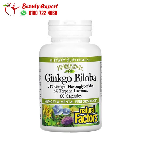 Natural Factors Ginkgo Biloba 60 Capsules image 0