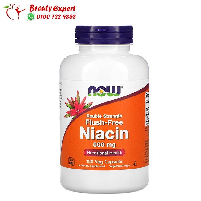 كبسولات النياسين - Now Foods Niacin 500 mg Capsules image 0